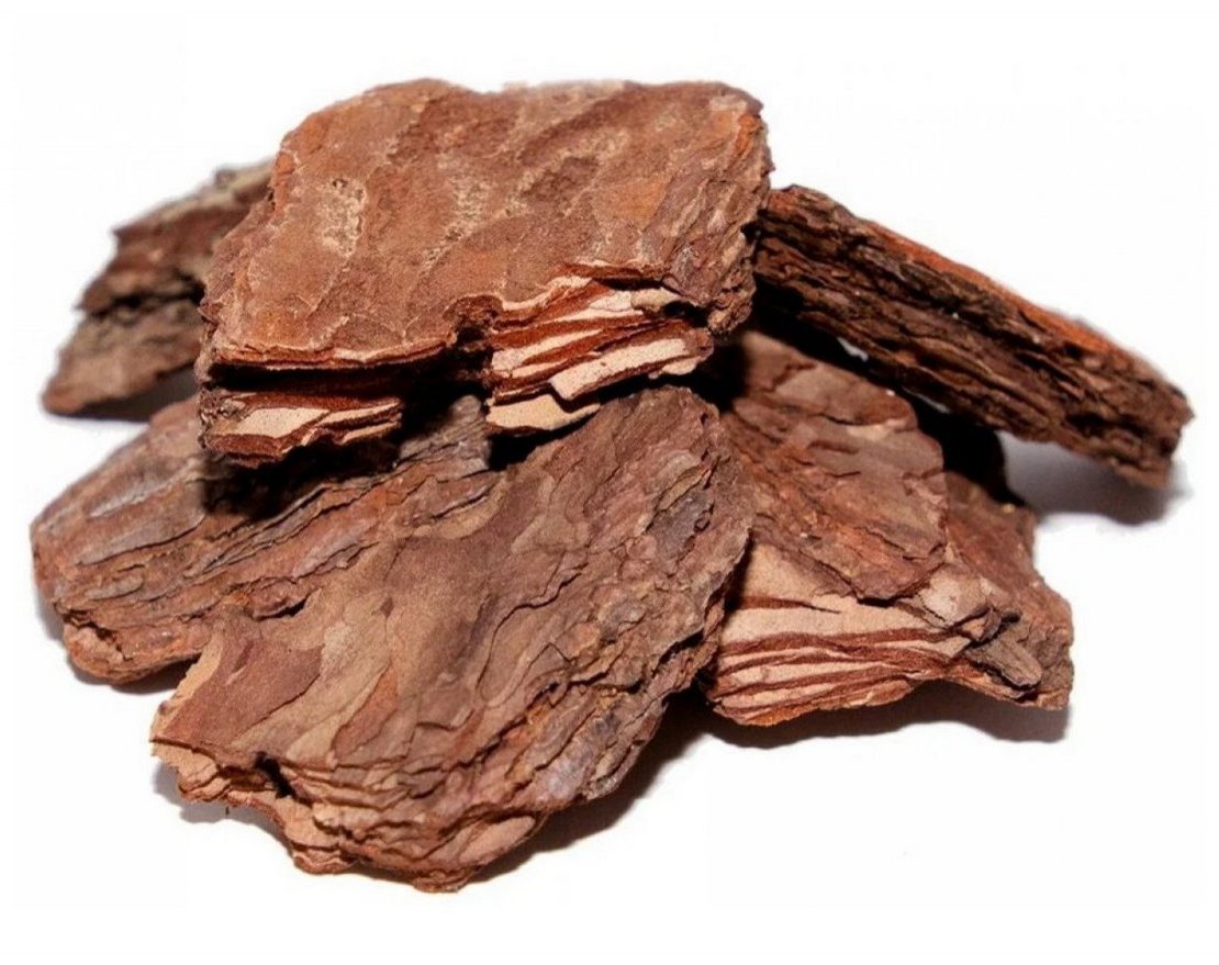 Кора сибирской лиственницы большая 10 см - вид 2