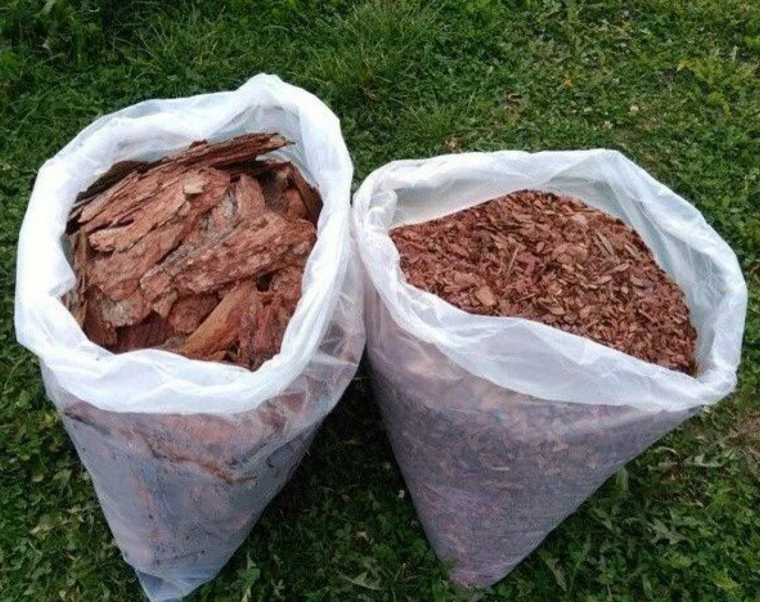 Кора сосны большая 10 см - вид 3