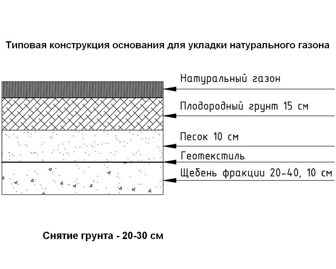 Натуральный рулонный газон Элитный - вид 5